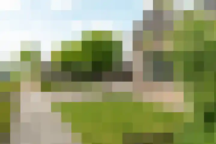de Korten 4 Ossenzijl thumbnail 31