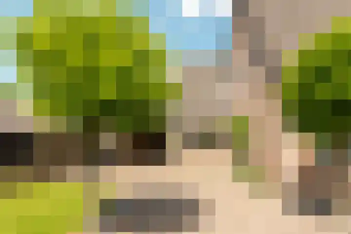de Korten 4 Ossenzijl thumbnail 32