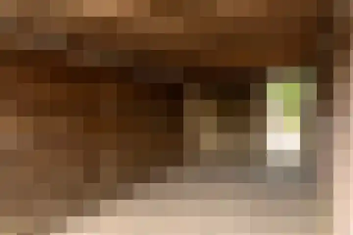 de Korten 4 Ossenzijl thumbnail 33