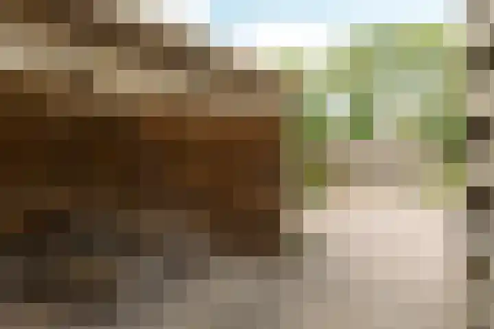 de Korten 4 Ossenzijl thumbnail 34
