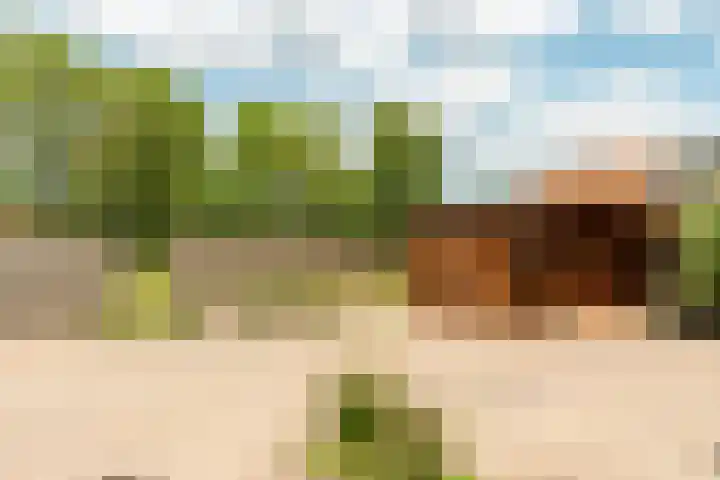 de Korten 4 Ossenzijl thumbnail 35