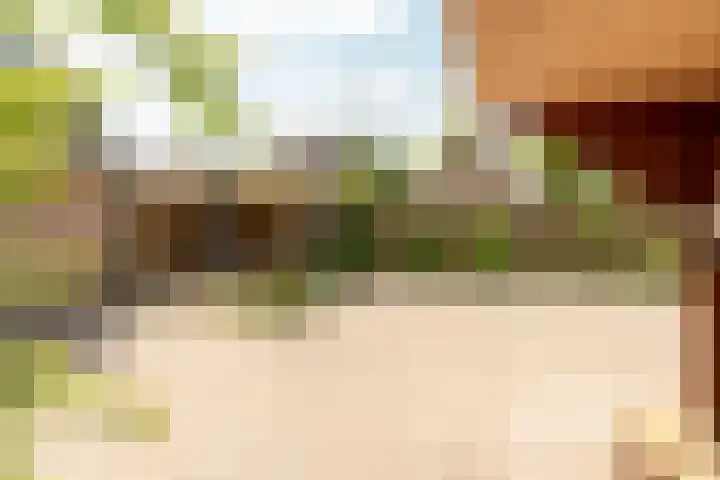 de Korten 4 Ossenzijl thumbnail 36