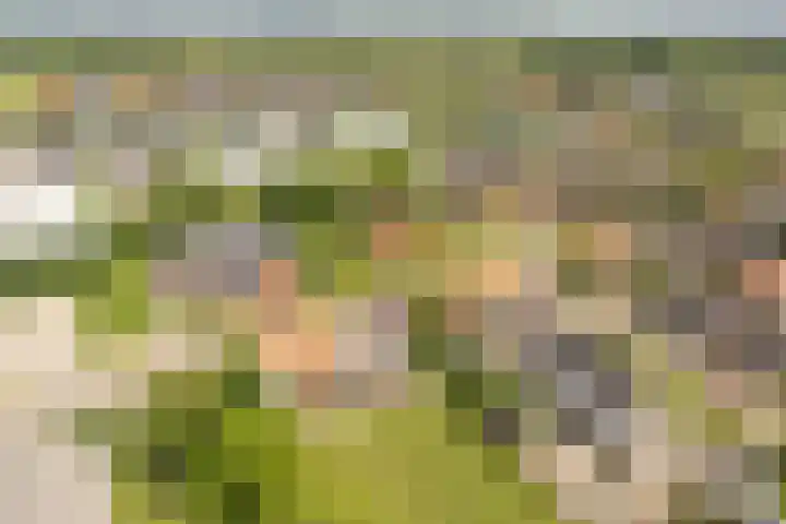 de Korten 4 Ossenzijl thumbnail 40