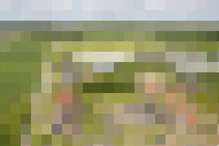 de Korten 4 Ossenzijl thumbnail 42