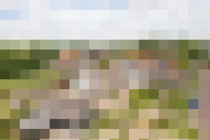 de Korten 4 Ossenzijl thumbnail 43