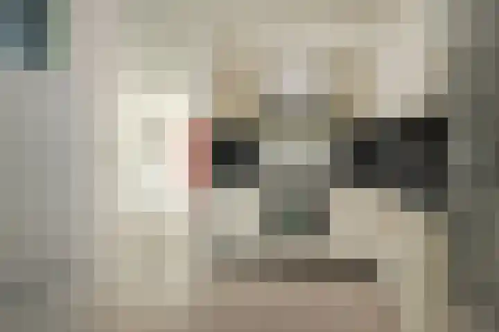 de Korten 4 Ossenzijl thumbnail 5