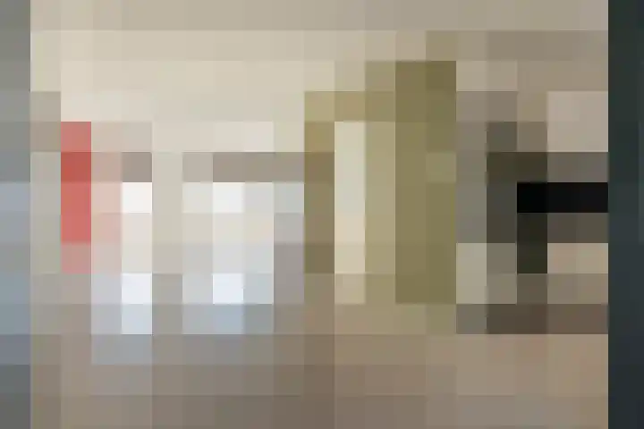 de Korten 4 Ossenzijl thumbnail 8