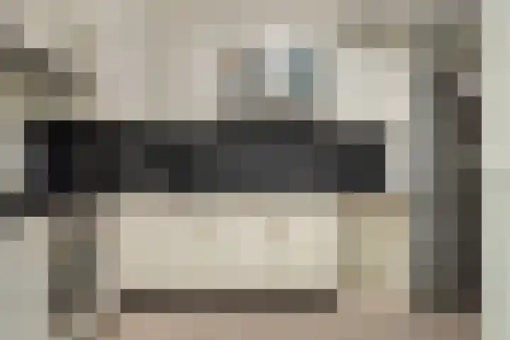 de Korten 4 Ossenzijl thumbnail 9