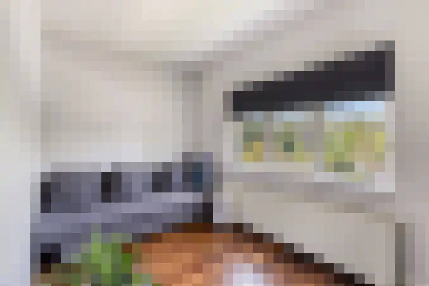 de Kortveter 14 Valkenswaard thumbnail 21