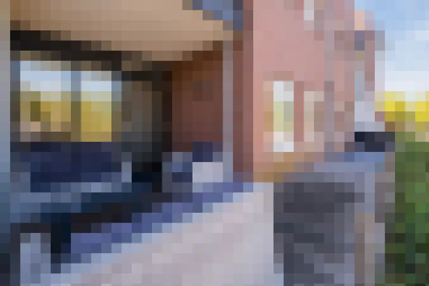 de Kortveter 4 Valkenswaard thumbnail 13