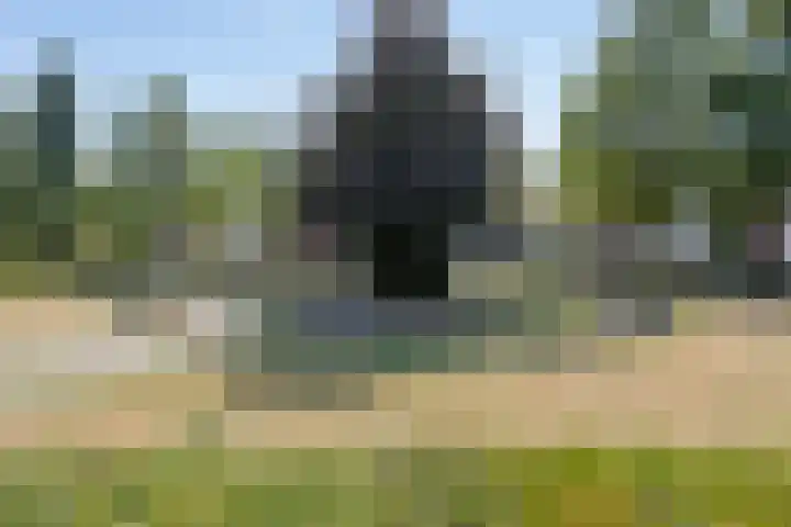 de Kortveter 4 Valkenswaard thumbnail 21