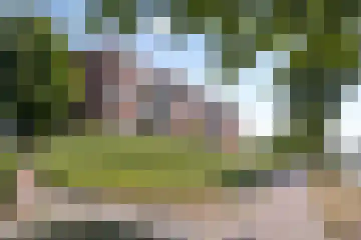 de Kortveter 4 Valkenswaard thumbnail 24