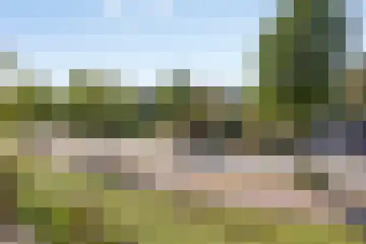 de Kortveter 4 Valkenswaard thumbnail 25