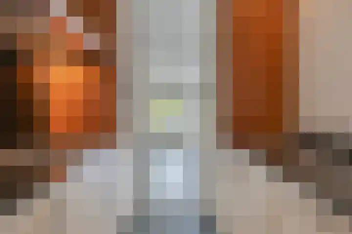 de Kortveter 4 Valkenswaard thumbnail 4