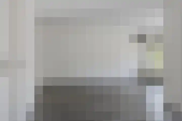 de Kortveter 4 Valkenswaard thumbnail 7