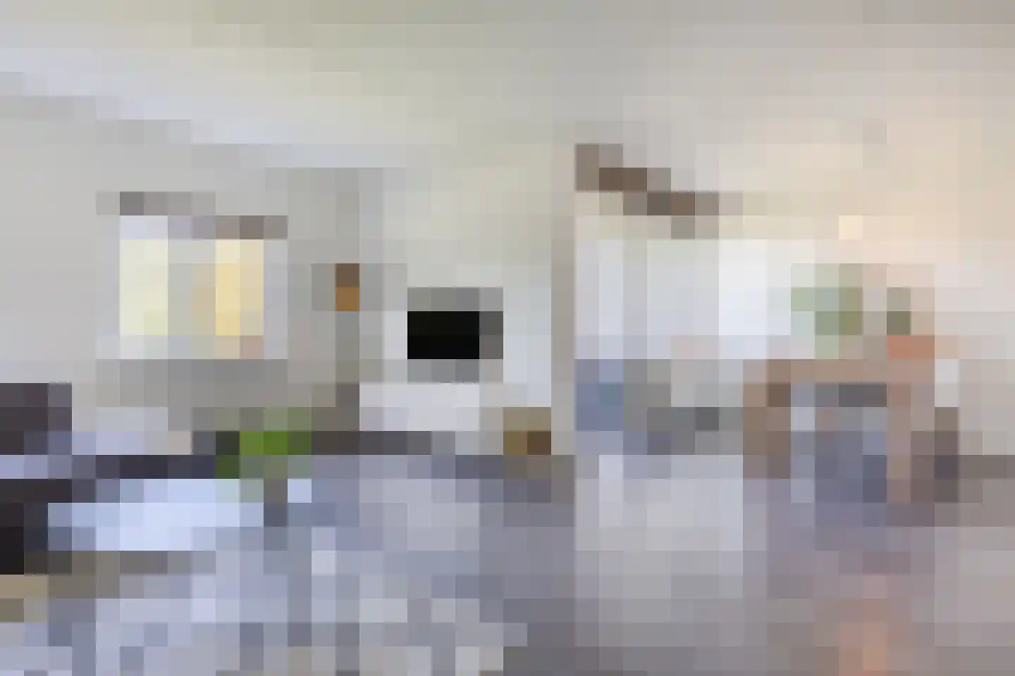 de Kortveter 56 Valkenswaard thumbnail 10