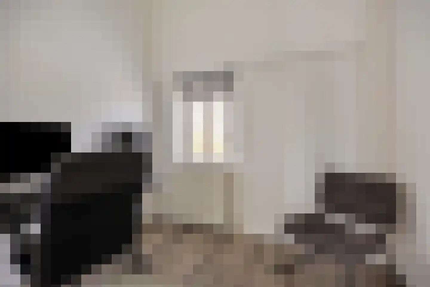 de Kortveter 60 Valkenswaard thumbnail 17