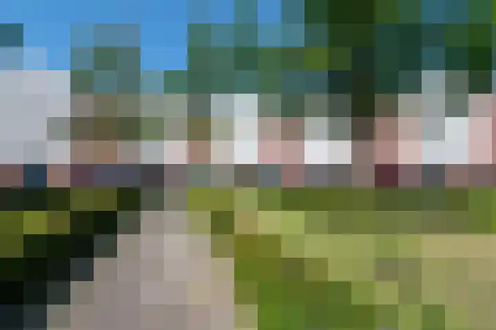 de Kortveter 74 Valkenswaard thumbnail 8