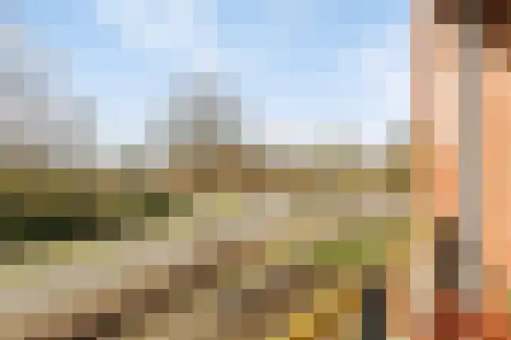 de Kortveter 82 Valkenswaard thumbnail 35