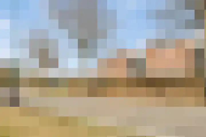 de Kortveter 82 Valkenswaard thumbnail 39
