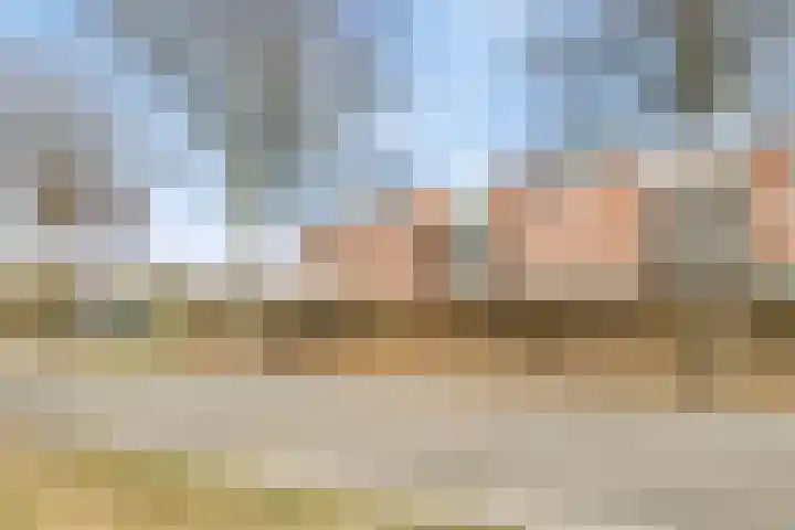 de Kortveter 82 Valkenswaard thumbnail 40