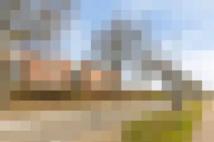 de Kortveter 82 Valkenswaard thumbnail 41