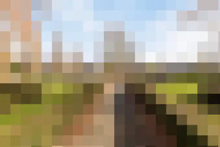 de Kortveter 82 Valkenswaard thumbnail 42