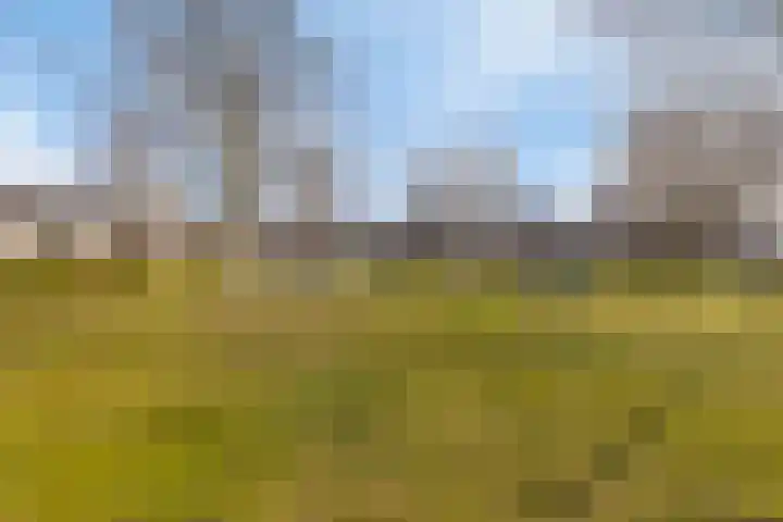 de Kortveter 82 Valkenswaard thumbnail 43