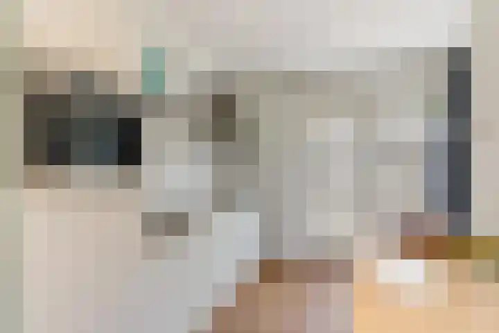De Korverstoep 2 Sliedrecht thumbnail 11
