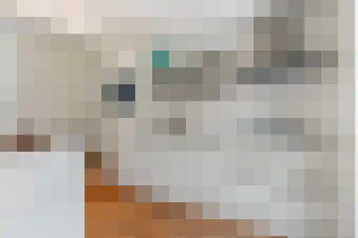 De Korverstoep 2 Sliedrecht thumbnail 12