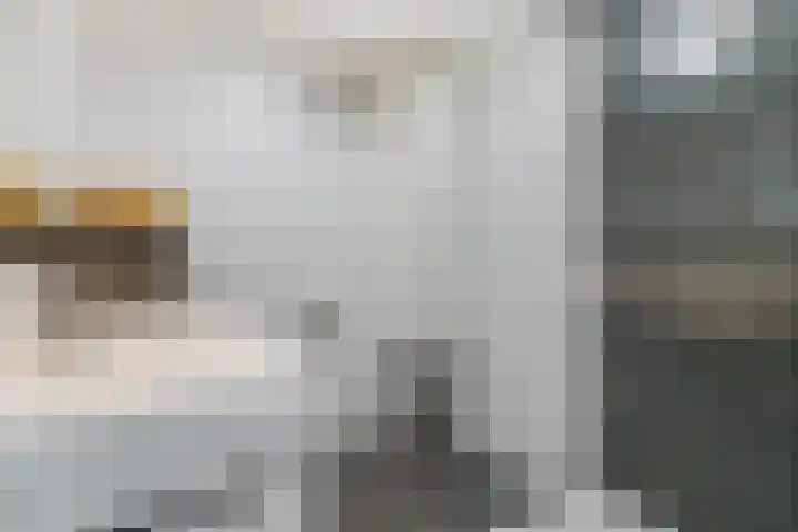 De Korverstoep 2 Sliedrecht thumbnail 16