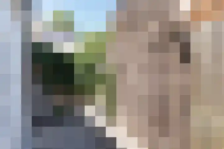 De Korverstoep 2 Sliedrecht thumbnail 18