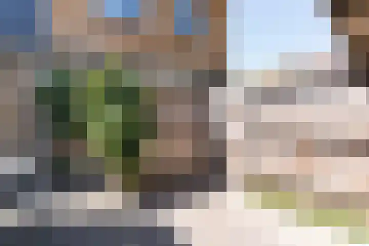De Korverstoep 2 Sliedrecht thumbnail 21