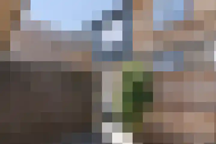 De Korverstoep 2 Sliedrecht thumbnail 22
