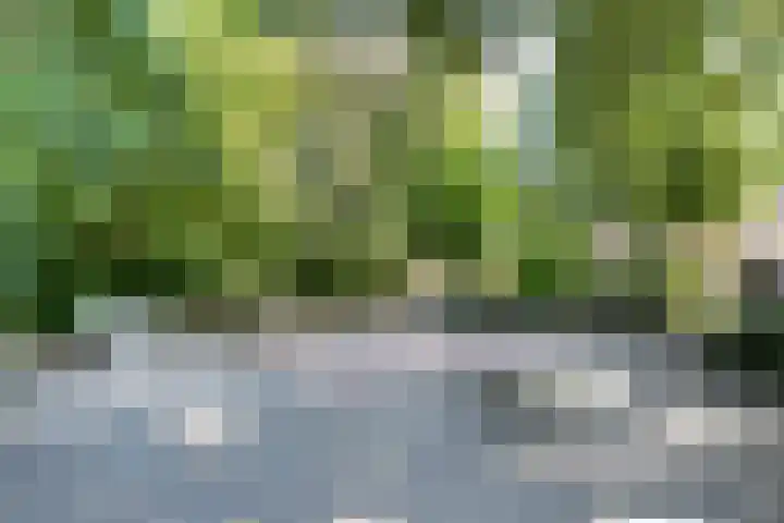 De Korverstoep 2 Sliedrecht thumbnail 34