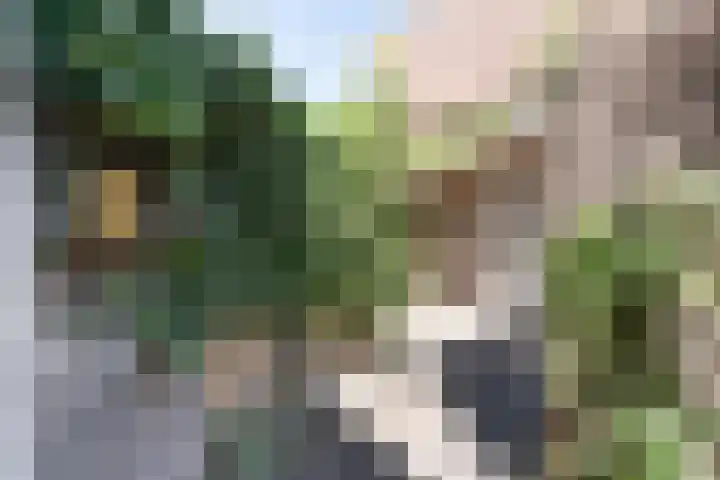 De Korverstoep 2 Sliedrecht thumbnail 4