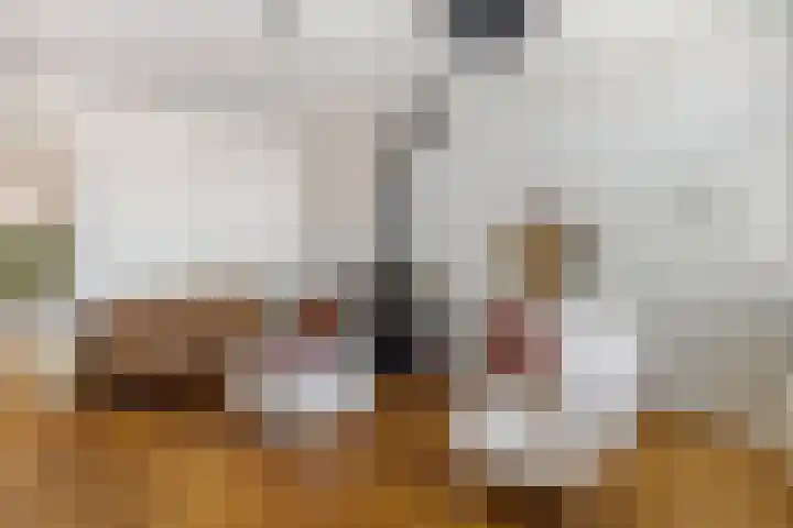 De Korverstoep 2 Sliedrecht thumbnail 7