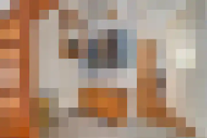 De Kosterij 20 Ruinerwold thumbnail 12