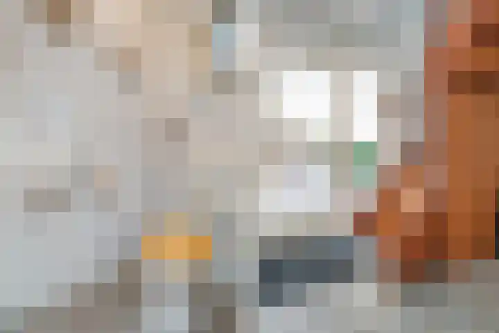 De Kosterij 20 Ruinerwold thumbnail 13