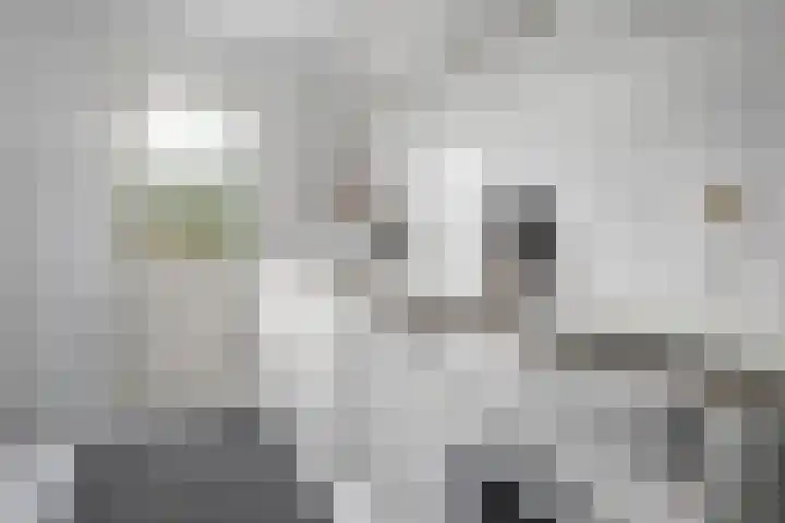 De Kosterij 20 Ruinerwold thumbnail 14