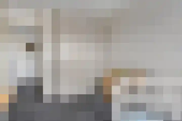De Kosterij 20 Ruinerwold thumbnail 18