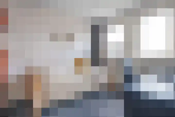 De Kosterij 20 Ruinerwold thumbnail 22