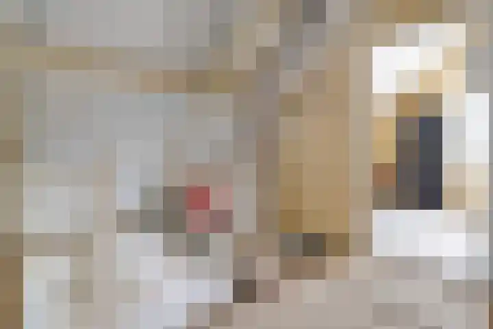 De Kosterij 20 Ruinerwold thumbnail 27