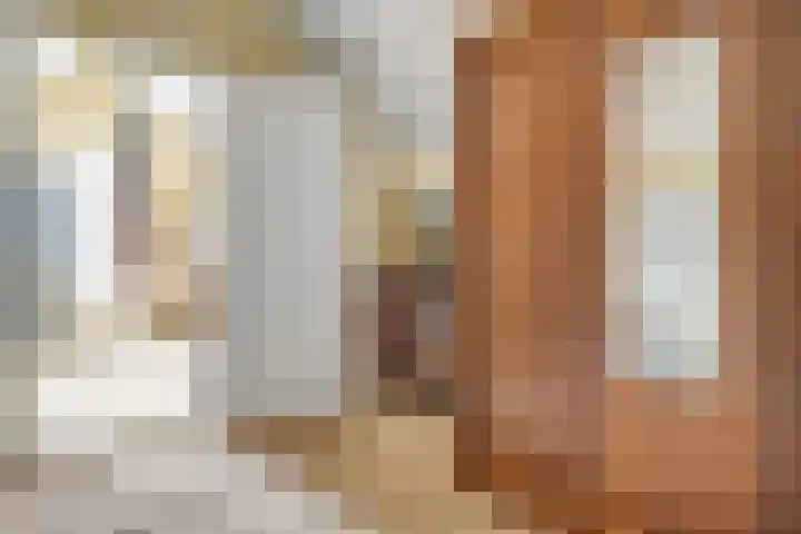 De Kosterij 20 Ruinerwold thumbnail 28