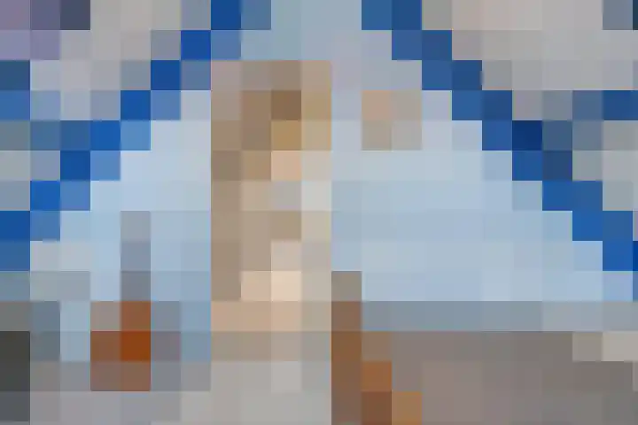 De Kosterij 20 Ruinerwold thumbnail 30