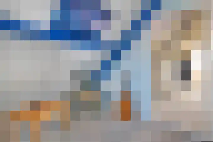 De Kosterij 20 Ruinerwold thumbnail 31