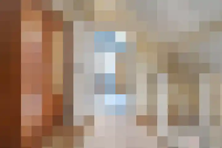 De Kosterij 20 Ruinerwold thumbnail 32