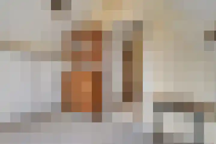 De Kosterij 20 Ruinerwold thumbnail 33