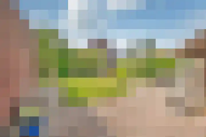 De Kosterij 20 Ruinerwold thumbnail 35