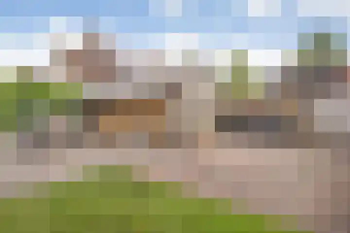 De Kosterij 20 Ruinerwold thumbnail 36